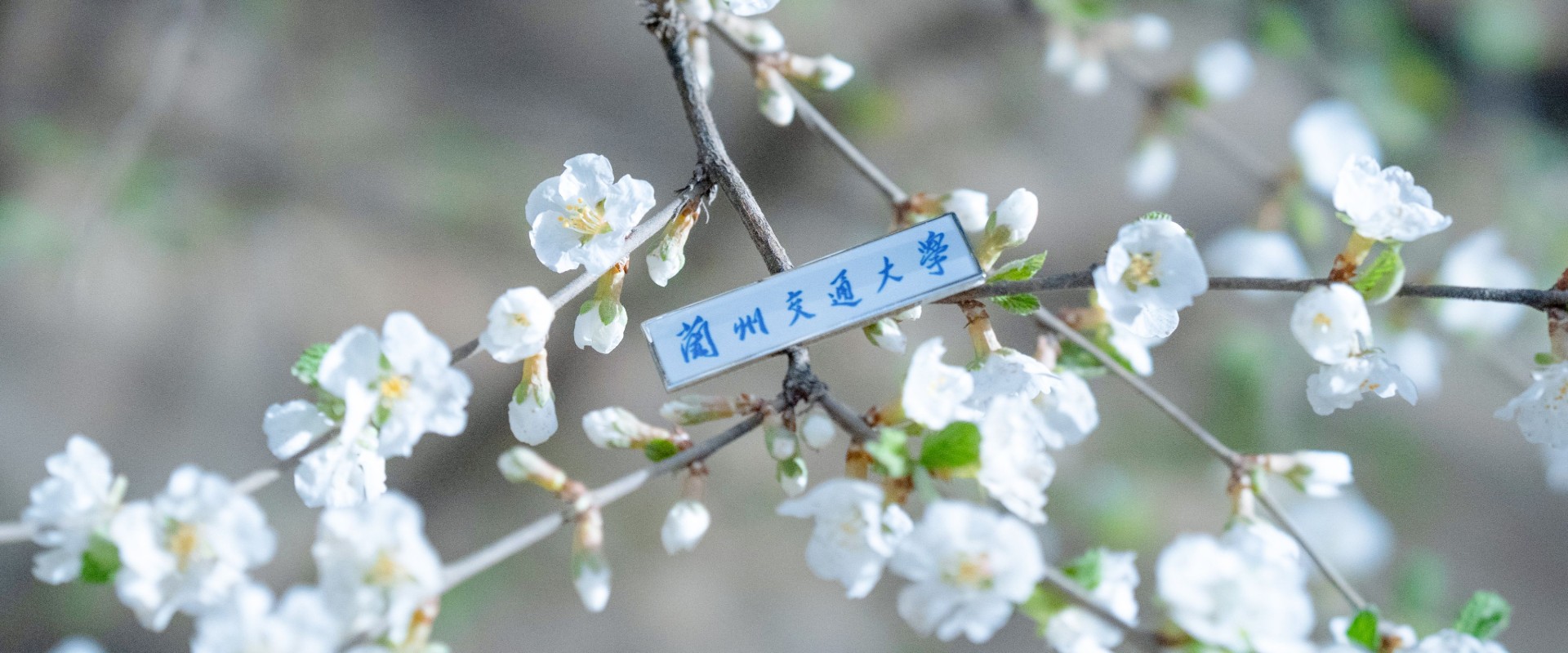 改革发展处 首页大图3